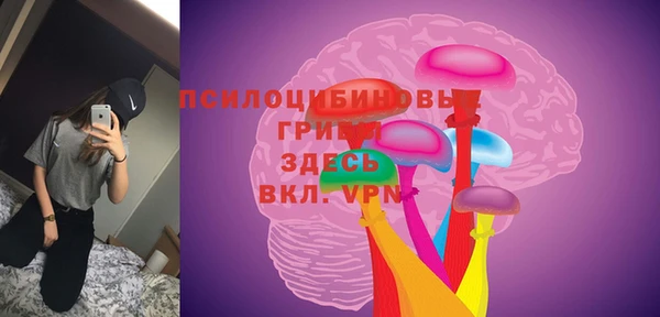 Альфа ПВП Балабаново