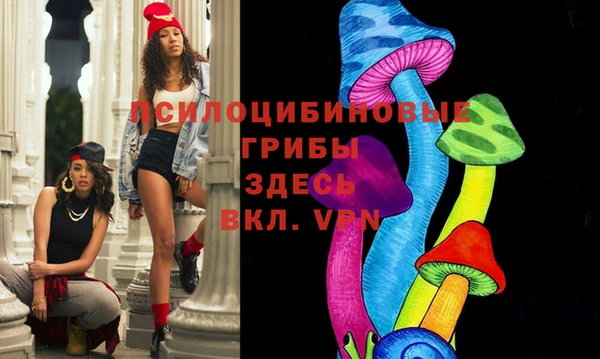 мяу мяу мука Арсеньев