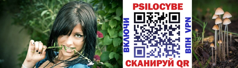 где продают Балей Псилоцибиновые грибы Magic Shrooms